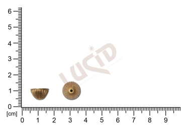 cups 12.0mm