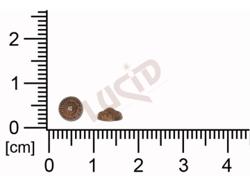 Tvarový výlisek kulatý bez oček (svěšovacích dírek) 5.4mm