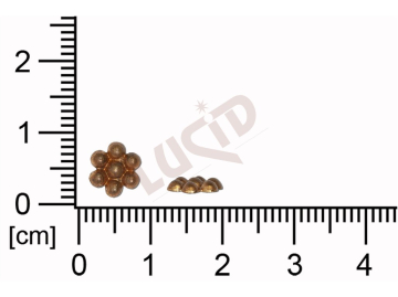 Tvarový výlisek kulatý rostlinné motivy bez oček (svěšovacích dírek) 7.0mm