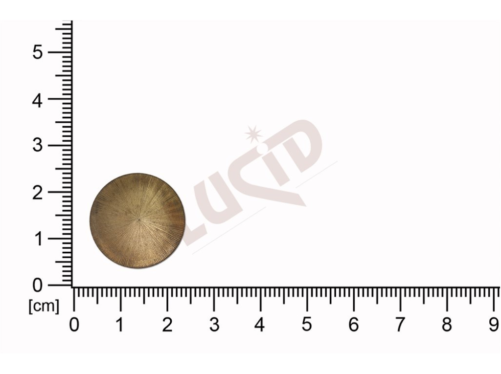 Tvarový výlisek kulatý, bez oček (svěšovacích dírek) 19.50mm