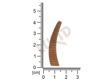 fancy shape other without loops / attaching holes