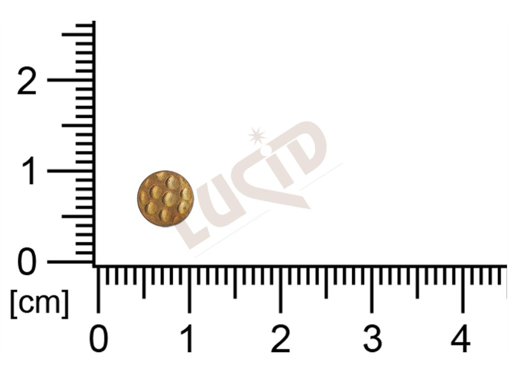 Plochý výsek kulatý bez oček (svěšovacích dírek) 6.0mm