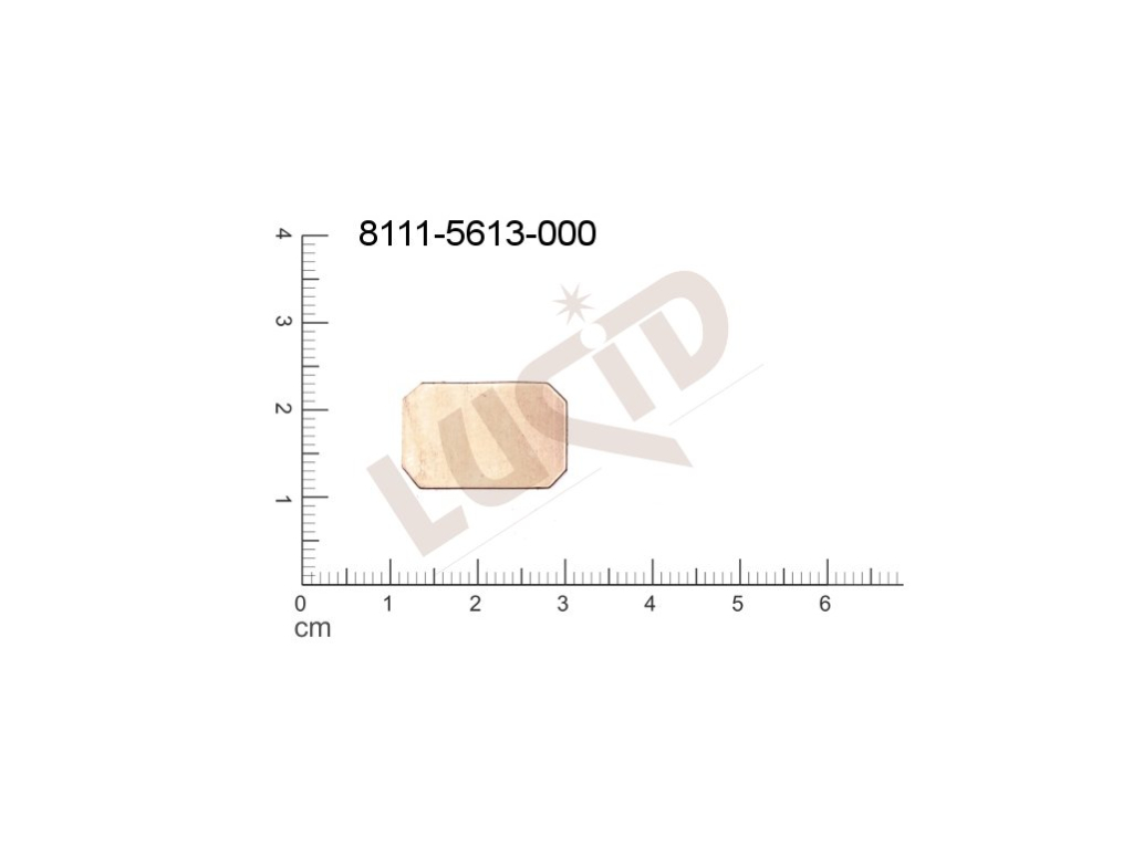 flat cut-out quadrangle   without loops / attaching holes 19.0x13.0mm