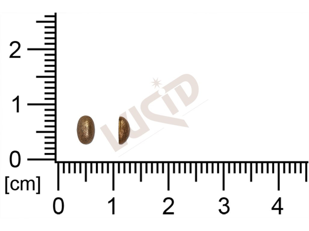 fancy shape other without loops / attaching holes 