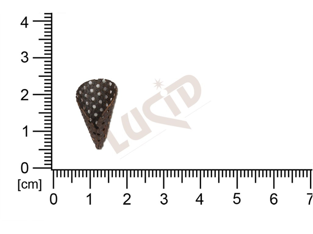 fancy shape cones  without loops / attaching holes 