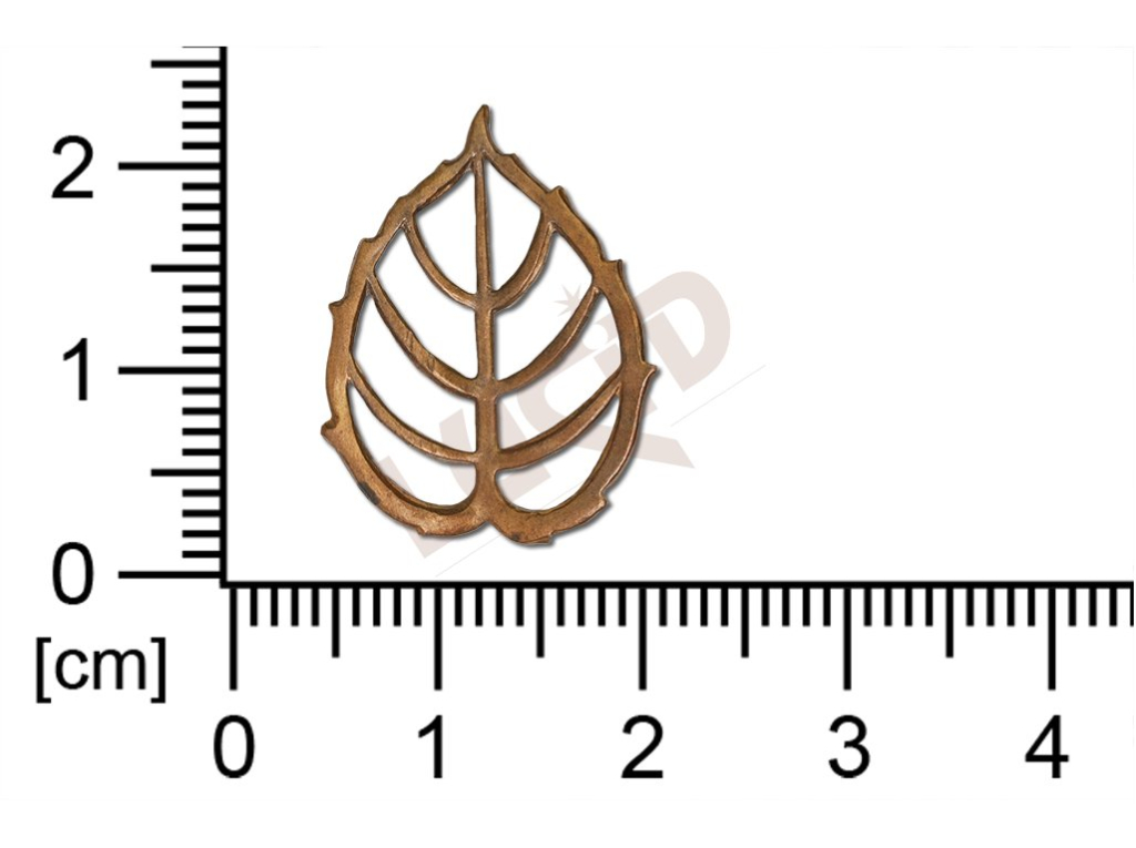 Tvarový výlisek rostlinné motivy lístečky bez oček prořezávaný 21x16,5mm