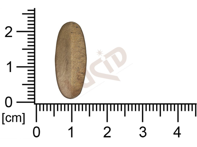 Tvarový výlisek bez oček (prořezávaný) 22,0x9.0mm