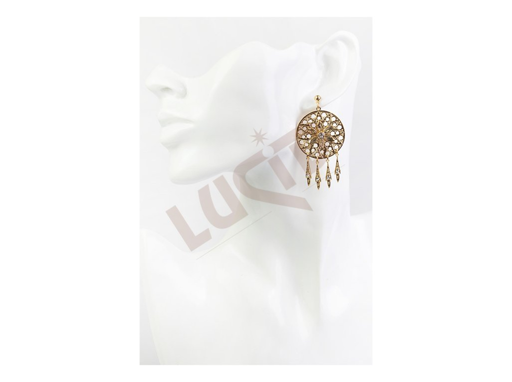 Jewellery earrings - gold