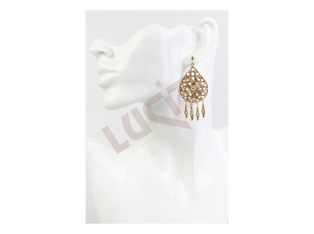 Jewellery earrings - gold