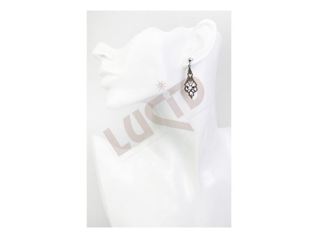 Jewellery earrings with cut stone - silver